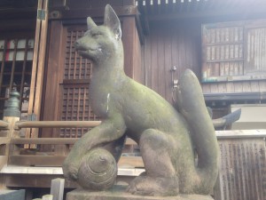 柳森神社 狛狐